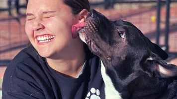 FREE Dog Training Consult - Bullhead City Animal Shelter - 2270 Trane Rd, Bullhead City, AZ 86442, USA