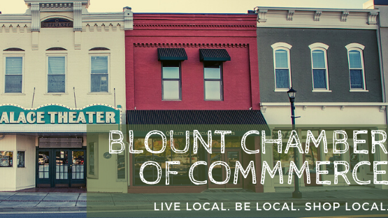 Women in Business with Sharon Hannum - Blount County Chamber of Commerce - 201 S Washington St, Maryville, TN 37804, USA